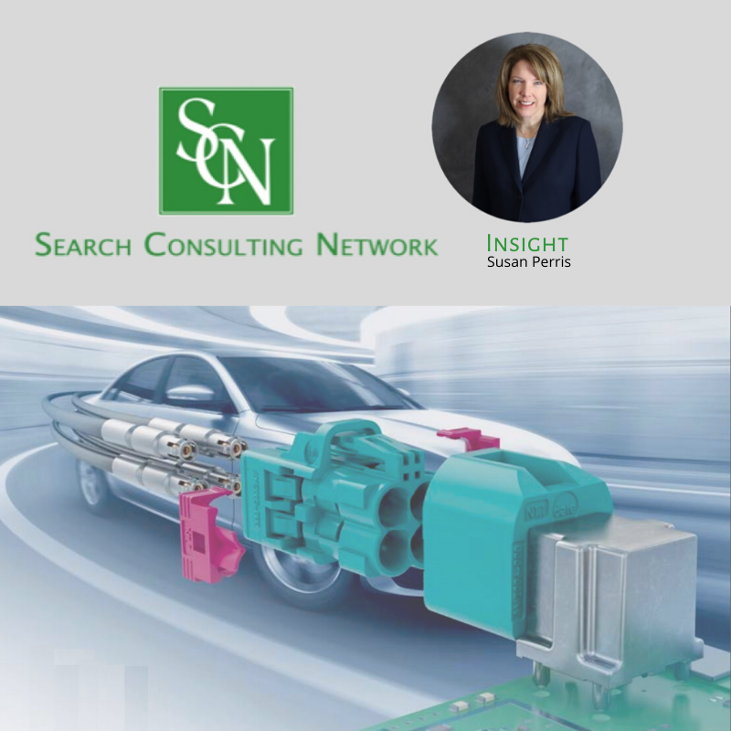 Susan - Insight Connectors